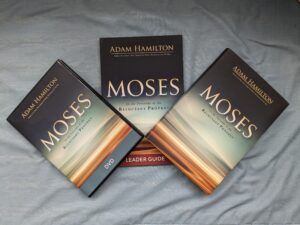 Image of Moses Study